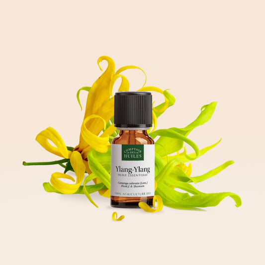 Huile Essentielle d’Ylang Ylang BIO 