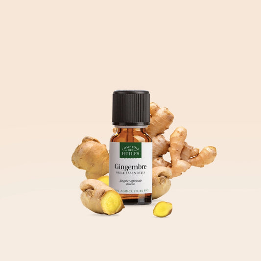 Huile Essentielle de Gingembre BIO 