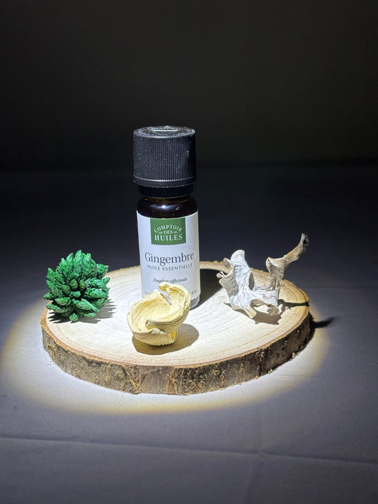 Huile Essentielle de Gingembre BIO – Énergisante & Réchauffante | Synergie des Sens