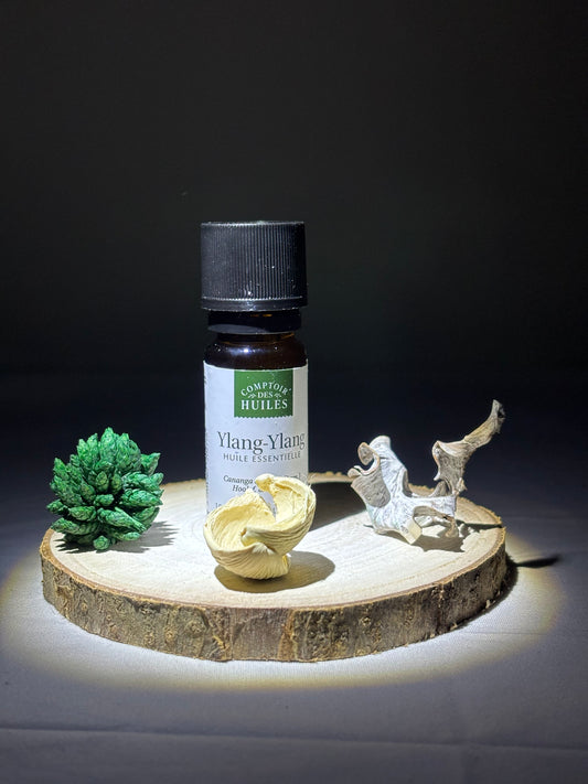 Huile Essentielle d’Ylang Ylang BIO – Parfum Floral & Relaxant | Synergie des Sens