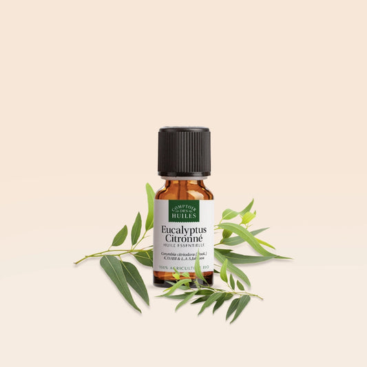 Huile Essentielle d’Eucalyptus Citronné BIO