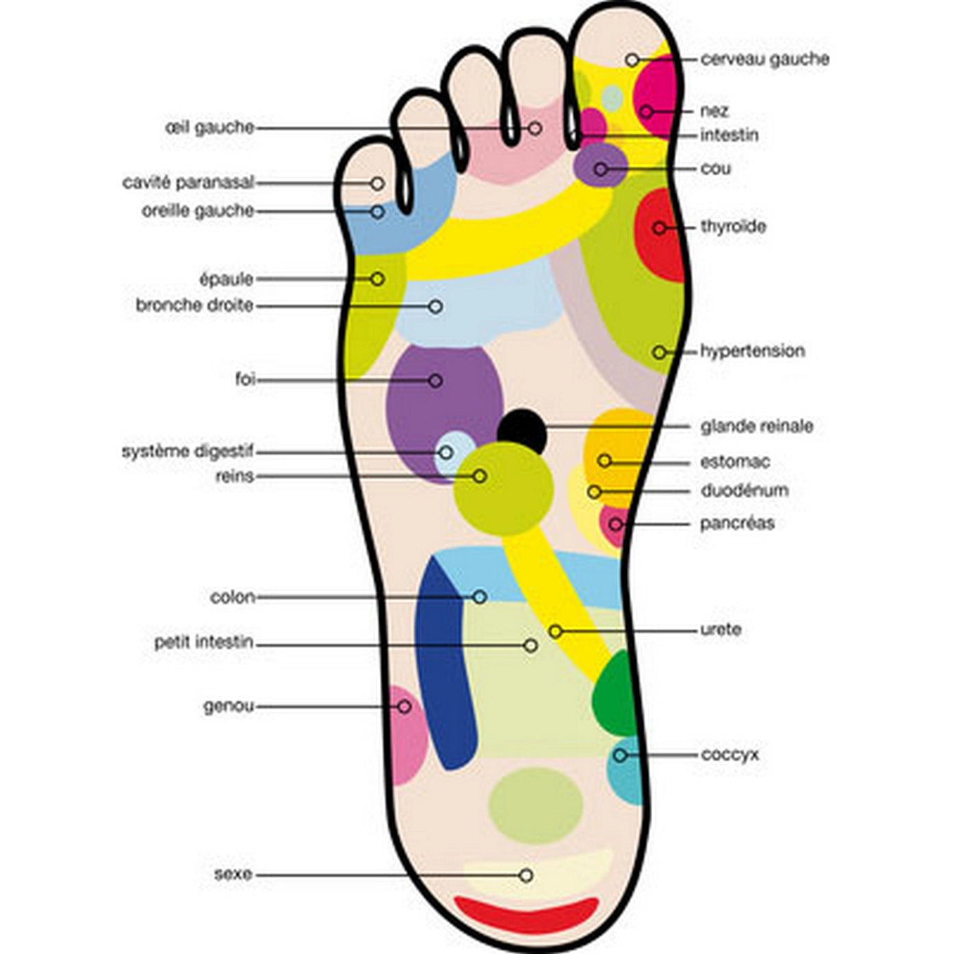 Masseur de Pied en Bois Naturel – Stimulation & Détente Plantaire
