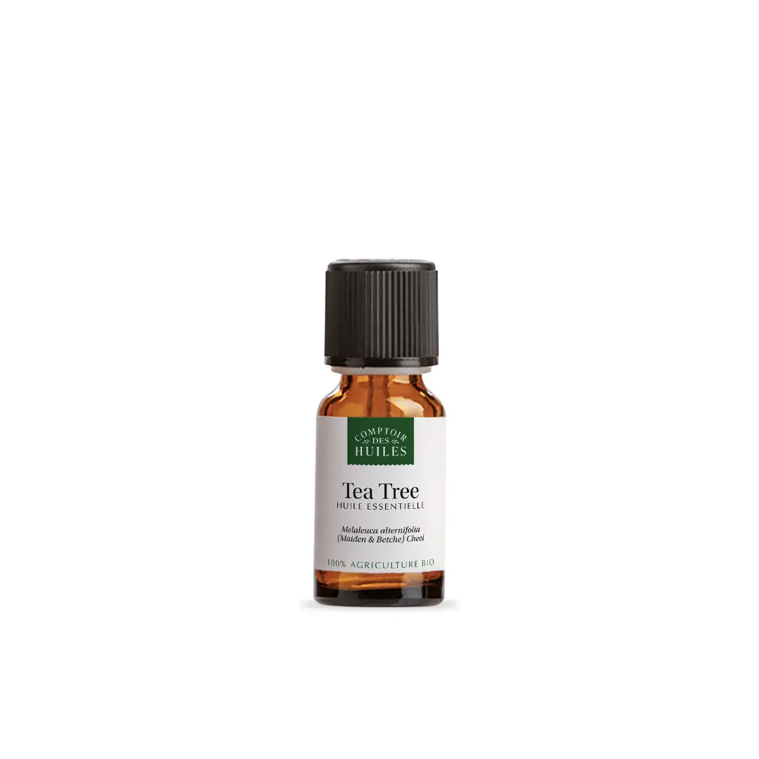 Huile Essentielle de Tea Tree BIO – Purifiante & Antibactérienne | Synergie des Sens