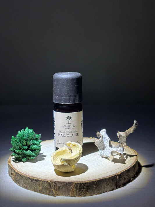 Marjolaine à coquille bio -Huile essentielle-Aromathérapie