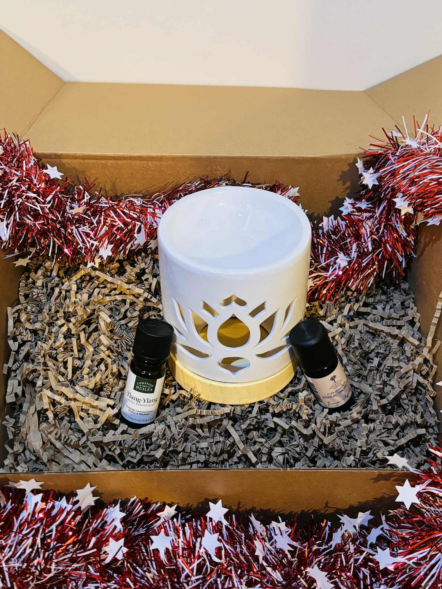 Coffret brule parfum Duo d’Huiles Essentielles – Basilic /Ylang-Ylang