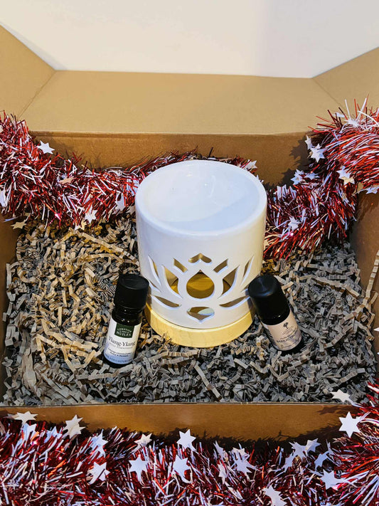 Coffret brule parfum Duo d’Huiles Essentielles – Basilic /Ylang-Ylang