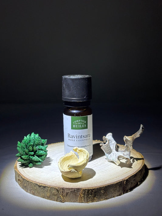 Huile Essentielle de Ravintsara BIO – Purifiante & Immunostimulante | Synergie des Sens