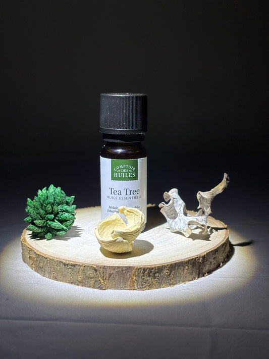Huile Essentielle de Tea Tree BIO – Purifiante & Antibactérienne | Synergie des Sens